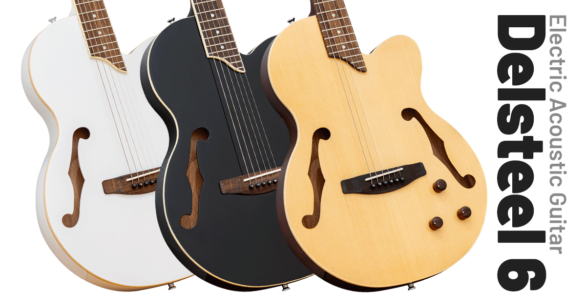 Delsteel 6 [エレクトリック・アコースティックギター] - ELK